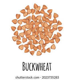 Buckwheat for template farmer market design, label and packing. Natural energy protein organic super food. Vector cartoon isolated illustration.
