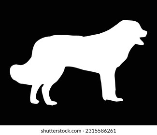 Bucovina shepherd Dog Vector Silhouette svg