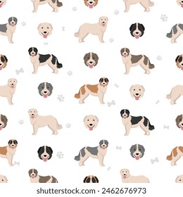 Bucovina shepherd seamless pattern. Different coat colors and poses set.  Vector illustration