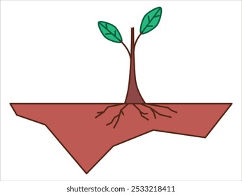 Bud emergence tronco fase de amostragem fase de crescimento cultivado planta árvore natural orgânica crescimento colorido sistema de raiz ícone conjunto