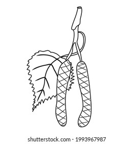 Bud icon. Birch tree. Natural theme. White background. Element. Symbol. Contour graphic sketch. Idea for decors, logo, covers, holidays, gifts, art. Isolated vector.