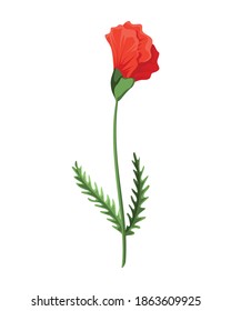 Bud poppy flower. Watercolor hand drawn poppy. Isolated botanical symbol of blooming red poppy blossom. Floral design for decor or holiday wedding greeting card template