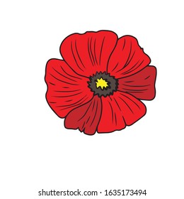 Bud of a red poppy .Vector design on a white perforated background .Design for postcard banners . nature