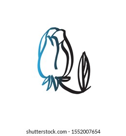 a bud of rose drawn outline