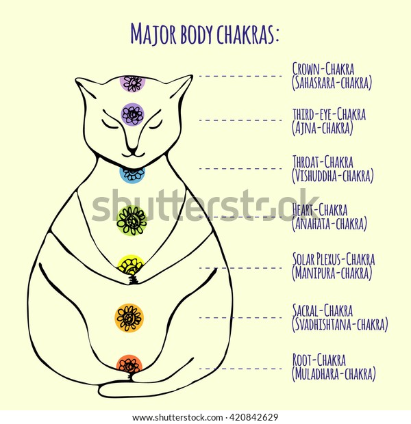 Animal Chakra Chart