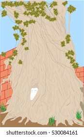 Buddha image have covered by a banyan tree ,Ayutthaya Historical Park ,world heritage.
