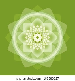 buddha,lotus,wheel of life,intuit
