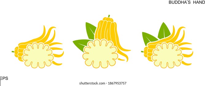 Buddha's hand  fruit logo. Citron. Isolated Buddha's hand fruit on white background