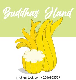 buddhas hand illustration with section , beautiful square background design