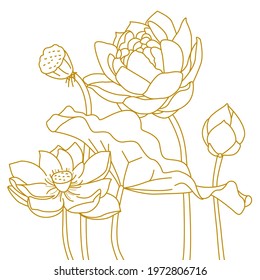 Buddhism, lotus doodles Element, lotus