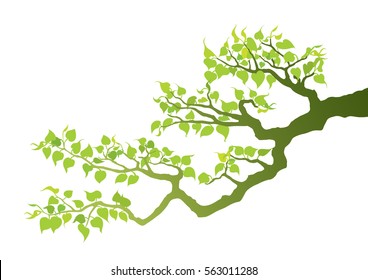 Buddhist Tree
