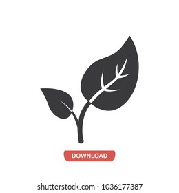 Budding leaves vector icon