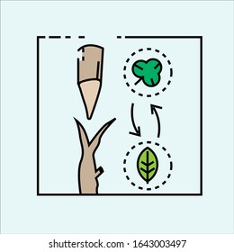 Budding method vector.good used as an illustration and symbol