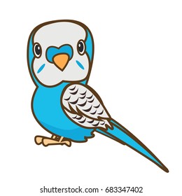 Budgerigar bird character cartoon vector illustration,Budgerigar bird,bird cartoon illustration