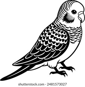 Budgerigar Bird Silhouette Vector Illustration