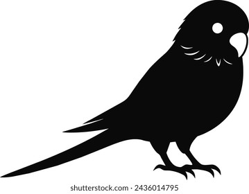 budgerigar bird vector illustration artwork