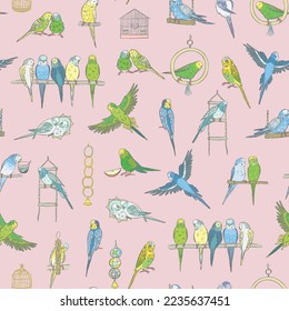 Budgerigar bird vector seamless pattern.