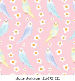 Budgerigar birds Wallpaper, Cute Birds Seamless Pattern, Birds Pet Illustration, Parakeets Vector, Texture for Pets, Colotful Feather Birds Background