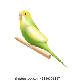 Budgerigar oder Budgie Papagei Symbol im 3D-Stil. Australisches Tropenvogelsymbol auf Zweig