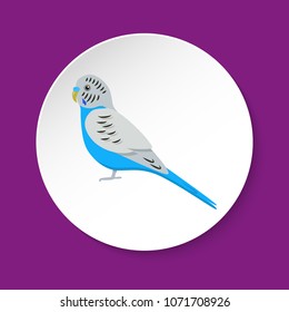 Budgerigar or budgie parrot icon in flat style on round button. Australian tropical bird symbol isolated.