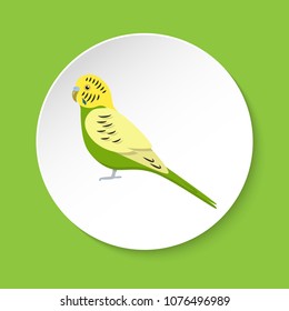 Budgerigar or budgie parrot icon in flat style on round button. Australian tropical bird symbol isolated.