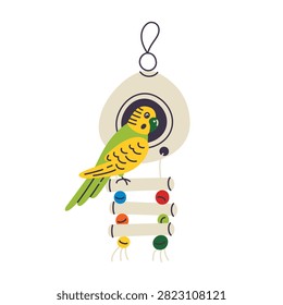 Budgerigar coconut house scene, flat cartoon parakeet perched beside hanging coco hut with wooden bead ladder. Vector illustration for pet bird nesting accessories and cage enrichment concept