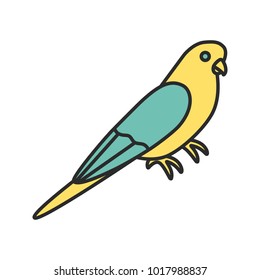 Budgerigar color icon. Common parakeet. Parrot. Isolated vector illustration