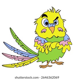 Budgerigar with an expression of distrust. Emotion parrot. Vector illustration of funny colored parrot isolated transparent background. Perfect nursery kids art, child poster, t-shirt print. EPS 10