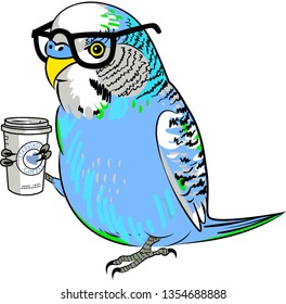 Budgerigar in glasses holding a paper cup of coffee, vector illustration isolated on white