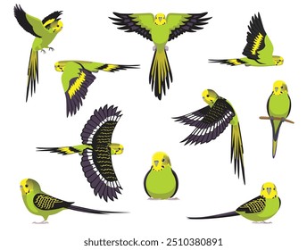 Budgerigar Green Bird Parrot Various Poses Cartoon Vector Character