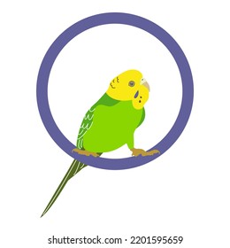 Budgerigar Green Parrot. Budgie Bird, Or Colorful Parakeet Pet Cartoon Style Illustration On White Background.