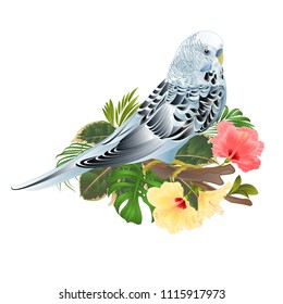 Budgerigar, home pet ,blue pet parakeet  on a branch bouquet with tropical flowers hibiscus, palm,philodendron on a white background vintage vector illustration editable hand draw