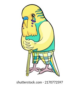 Budgerigar old in pants leans on a stick. vector illustration