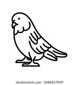 Budgerigar Outline Icon, Vector illustration