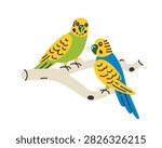 Budgerigar pair scene, flat cartoon green and blue parakeets perched together on wooden branch. Vector illustration for pet bird companionship and aviary theme, isolated colored clipart