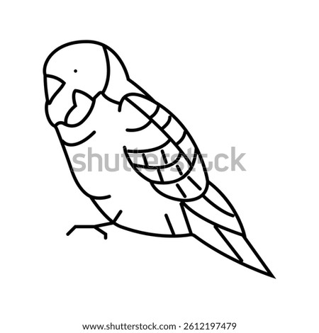 budgerigar parakeet parrot bird line icon vector. budgerigar parakeet parrot bird sign. isolated contour symbol black illustration