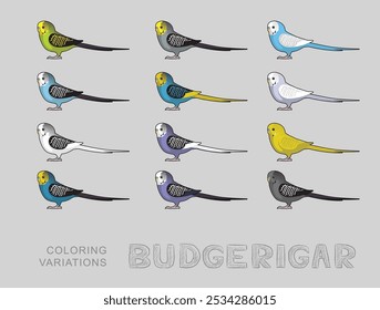 Budgerigar Parrot Talking Birds Coloring Variations Vector Illustration