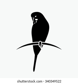 Budgerigar parrot - vector illustration