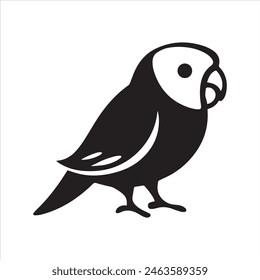 Budgerigar Silhouette Vector illustration Design.