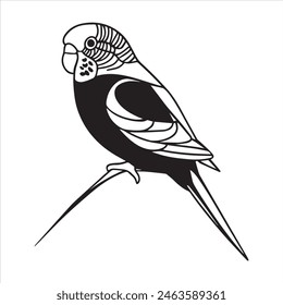 Budgerigar Silhouette Vector illustration Design.