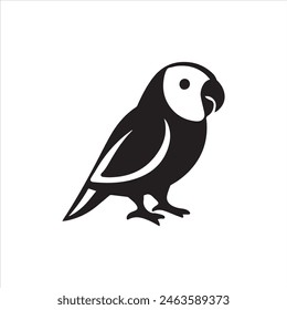 Budgerigar Silhouette Vector illustration Design.