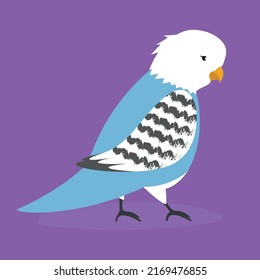 Budgerigar steht auf seinen Pfoten