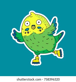 
Budgerigar. Vector illustration