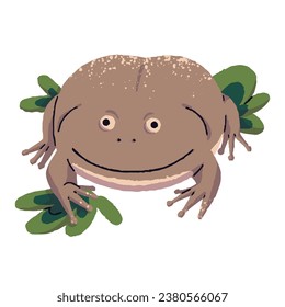 La rana de Budgett se sienta en hojas. Funny toad con sonrisa en el lindo amuleto. Anfibio exótico, animal tropical, rana de selva tropical silvestre, habitante de pantano. Ilustración vectorial aislada plana sobre fondo blanco