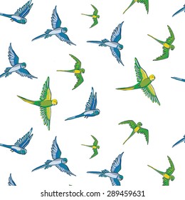 budgie bird pattern