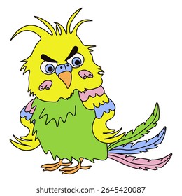Budgie parrot. Angry emotion parrot. Vector illustration of colorful parrot isolated transparent background. Angry face bird character. EPS 10