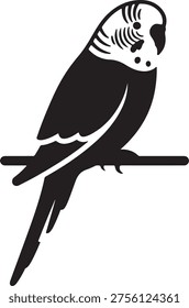 Budgie parrot vector illustration, pet bird silhouette, small parakeet outline, avian branch perch graphic design