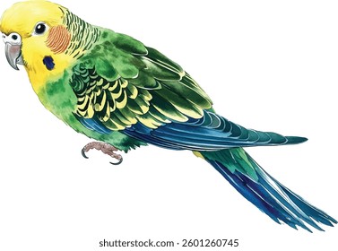 Budgie Parrot Watercolor  - Vibrant Green and Yellow vector illustration