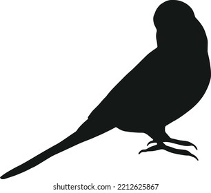 Budgie Silhouette Isolated On White Background Stock Vector (Royalty ...