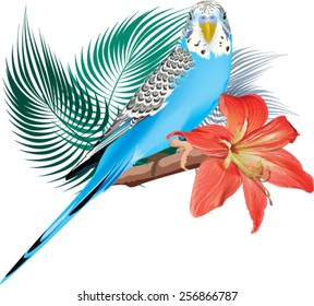 budgie sitting on a branch. a bouquet of flowers